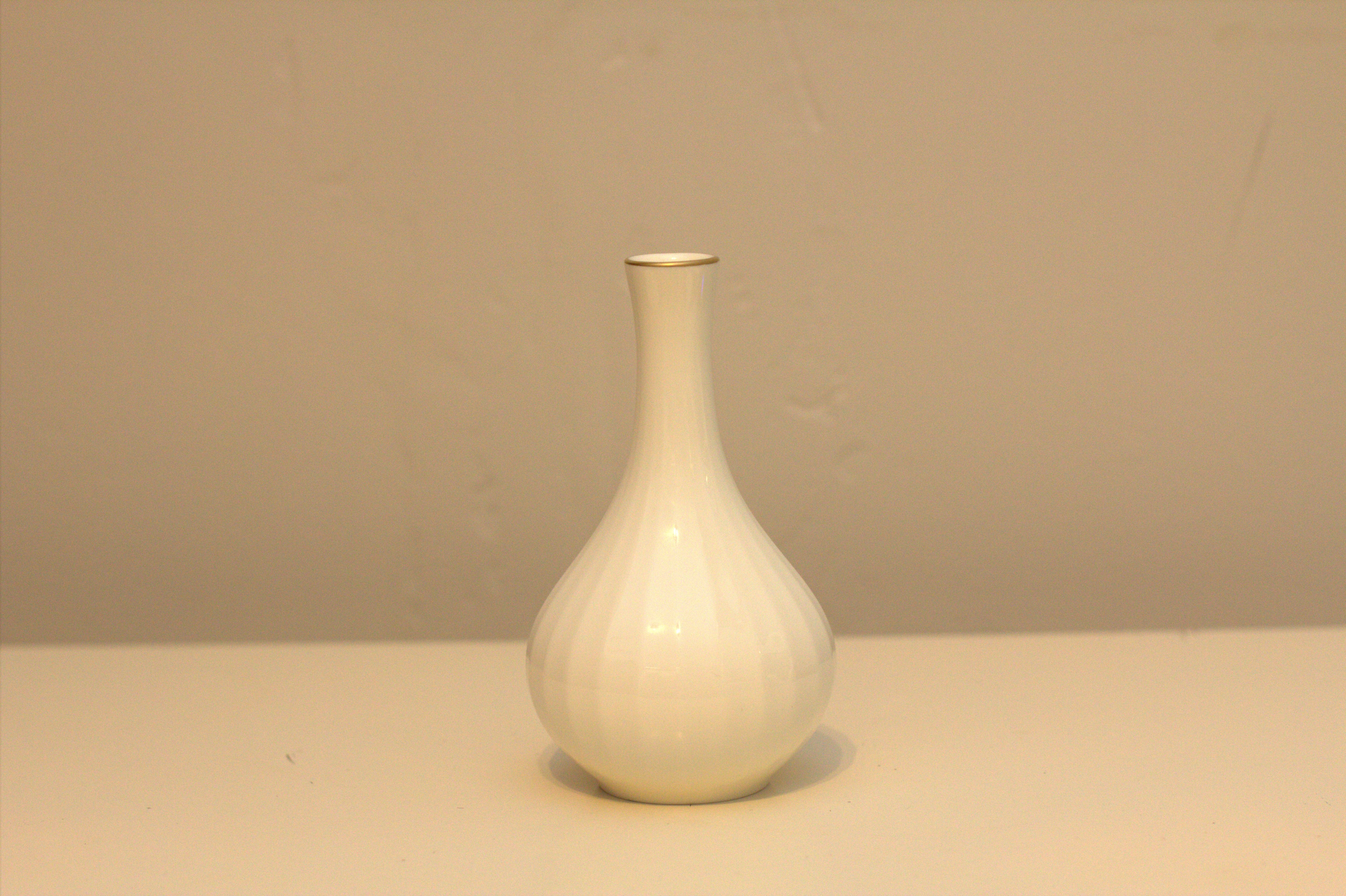 24 Karat Ivory Bone China Mikasa Narumi - Japan