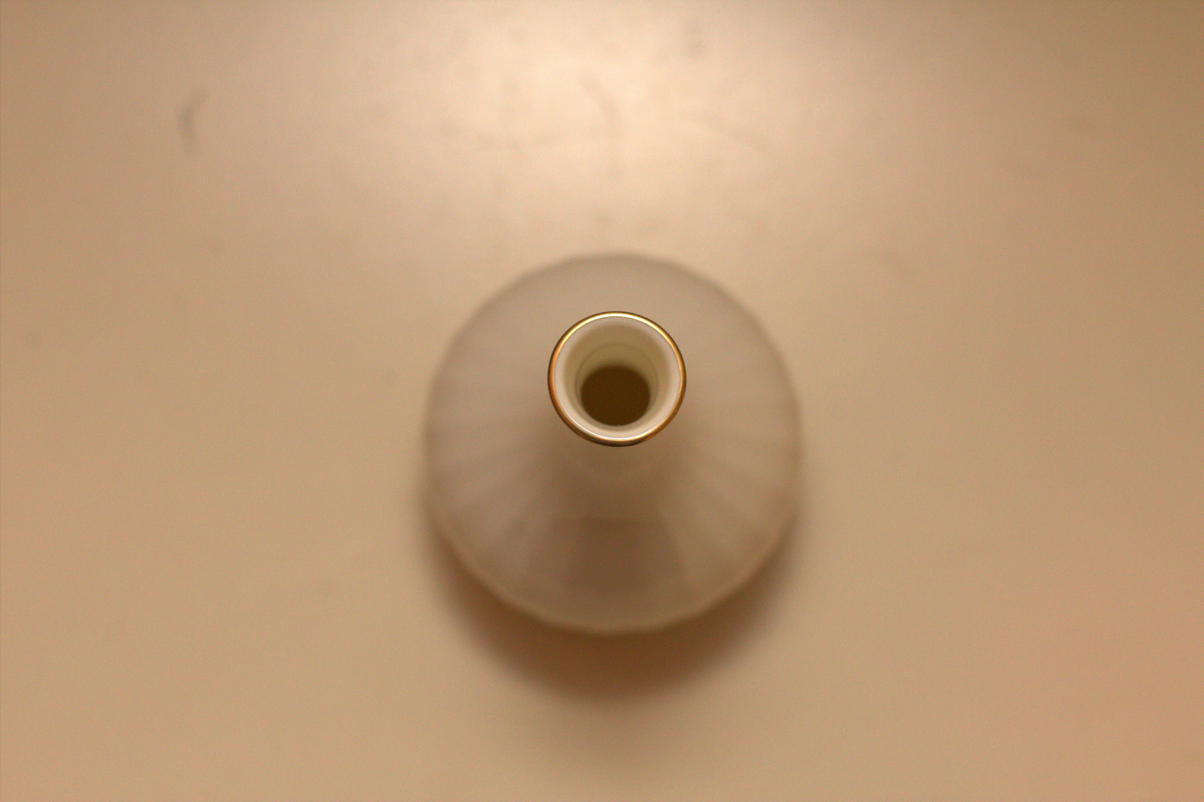 24 Karat Ivory Bone China Mikasa Narumi - Japan